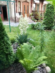 ��������� �������� ���� / ������������� �. ���., ��������, ������������, ����� ���� 4