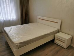 ��������� �������� ������ ���., ��������, ������������, ����� ���� 1