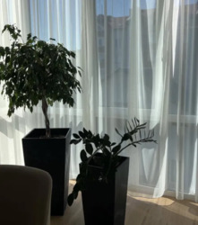 ��������� �������� ��������, ������������ ���� 3