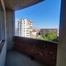 ��������� �������� ����������� ���., ��������, ������������, ������� ���� 8