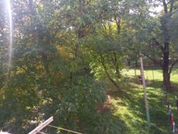 ��������� �������� ������� ���., ��������, ������������, ����� ���� 7