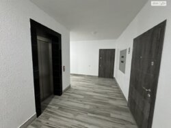 ��������� �������� ���� ���., ��������, ������������, ������ ���� 17