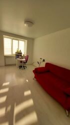 ��������� �������� ����� ���������, ��������, ������������ ���� 11