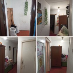 ��������� �������� �������, ��������, ������������, ����� ���� 5