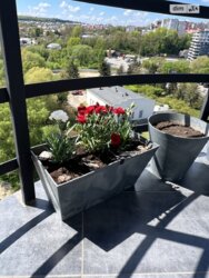 ��������� �������� ���������� ���., ��������, ������������ ���� 2