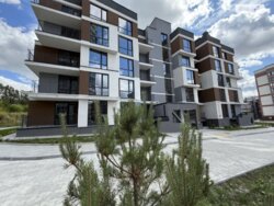 ��������� �������� ��������, ������������ ���� 2