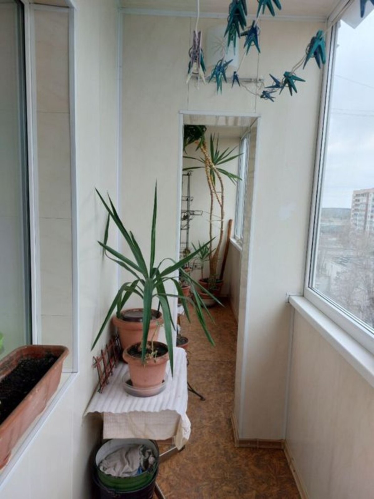 ��������� �������� �����������, 84�, ���'������, ���'������, ����������������, 4 ��� ���� 1