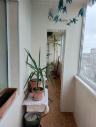 ��������� �������� �����������, 84�, ���'������, ���'������, ����������������, 4 ��� ���� 1