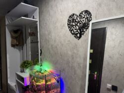 Продам квартиру 2 кімнатну Кам'янське, район України фото 8 Продам квартиру 2 кімнатну Кам'янське, район України фото 8