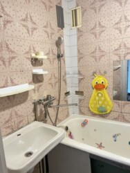 Продається квартира Дніпропетровська, Кам'янське, Кам'янське, Черемушки фото 4 Продається квартира Дніпропетровська, Кам'янське, Кам'янське, Черемушки фото 4