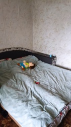 Продам двокімнатну квартиру на лівому березі з гарним видом фото 5 Продам двокімнатну квартиру на лівому березі з гарним видом фото 5