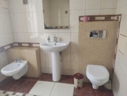 ��������� �������� ���'������, ���'������, ����������������, ��������� ���� 12