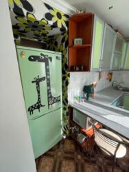 Продається квартира Дніпропетровська, Кам'янське, Кам'янське фото 18 Продається квартира Дніпропетровська, Кам'янське, Кам'янське фото 18