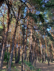 Продається квартира Дніпропетровська, Кам'янське, Кам'янське, 5 мкр фото 1 Продається квартира Дніпропетровська, Кам'янське, Кам'янське, 5 мкр фото 1