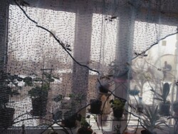 Продам 2-х ком. квартиру ул. Колеусовская фото 2 Продам 2-х ком. квартиру ул. Колеусовская фото 2