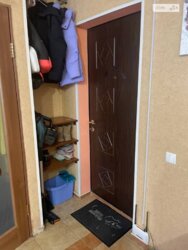   , ', ', , . , 100  5