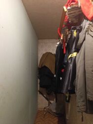 ��������� �������� ���'������, ���'������, ����������������, ����������� ���� 14