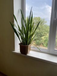 Продається квартира Дніпропетровська, Кам'янське, Кам'янське, 3 мкр фото 11 Продається квартира Дніпропетровська, Кам'янське, Кам'янське, 3 мкр фото 11