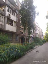 Срочная продажа дешевая 2-к квартира фото 12 Срочная продажа дешевая 2-к квартира фото 12