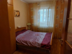 ��������� �������� �����������, 84�, ���'������, ���'������, ����������������, 4 ��� ���� 11