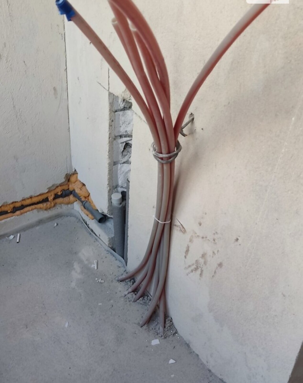 1 � �������� �� ����� ���� 1