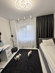 �������� � �������� ���� 13