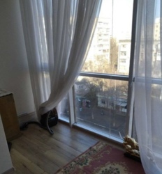 Продається квартира Одеська, Чорноморськ, Іллічівськ, Парусна, 9к фото 3 Продається квартира Одеська, Чорноморськ, Іллічівськ, Парусна, 9к фото 3