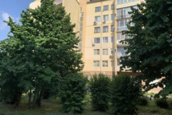 ������� �������� ���� 12