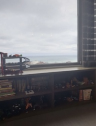 ��������� �������� �������, 48, ���������, �����������, ������� ���� 6