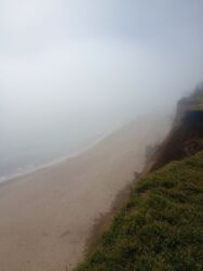 1� �� ����������� ���� 5