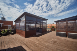 �������� � �������� ���� 13