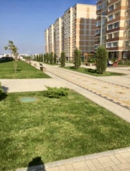 1 �� �� �� ���� 5