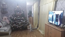 Кімната поруч з морем фото 3 Кімната поруч з морем фото 3