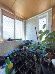 ������ �������� 4� �������� � ����! ���� 9