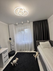 �������� � �������� ���� 12