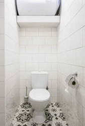 �������� ����� ���� ���� 19