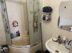 ��������-����� ���� 12