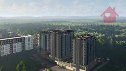 Продаж квартири поруч з парком! фото 4 Продаж квартири поруч з парком! фото 4