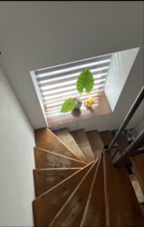 ������ ��������� ��������, ����� �.�������� ���� 5