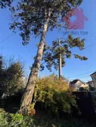 ������ ���������� �������� � ������� �� ���.������ ���� 6