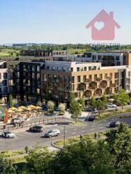 ������ �������� ������� �� Central Park ���� 2