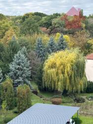 Продаж однокімнатної квартири по вул.Радіщева фото 9 Продаж однокімнатної квартири по вул.Радіщева фото 9