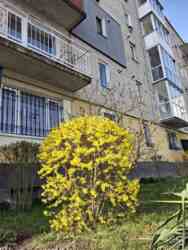 ������ 3 ������� �������� � �.��������� ���� 4