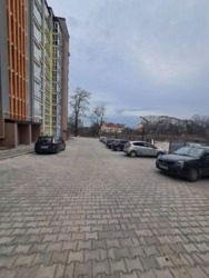  2    .  ,   11