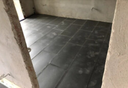  2  65.5 .   .   8