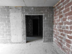 ������ 1� �������� 41.2 ��. � �� ���. ������������ ���� 16