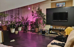 ������ 6� �������� 194 ��. � �� ���. ����� ֳ��� ���� 13