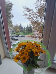 3 .    .  1