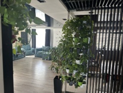 ������. 4 ������� ��������. ��������. ������. ��� к���. ���� 13