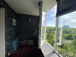 ������. 4 ������� ��������. ��������. ������. ��� к���. ���� 20